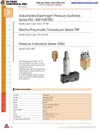 Pressure Switches-BSP/Metric